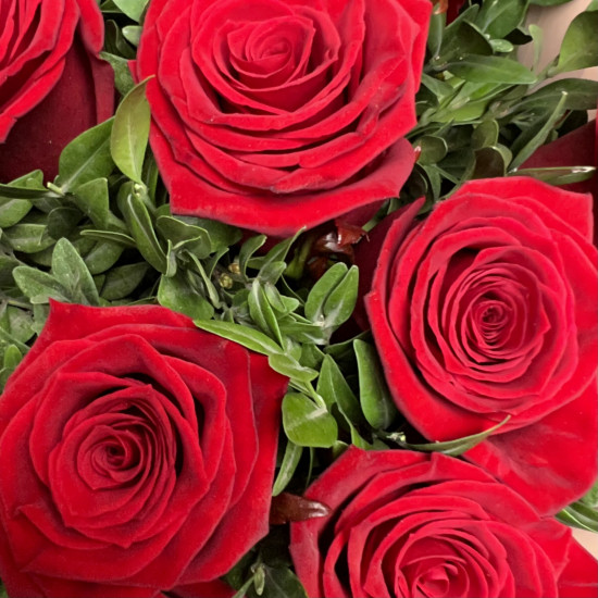Букеты из роз Букет из 9 красных роз с зеленью